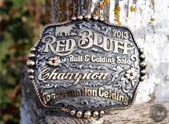 2013 Red Bluff Bull Sale